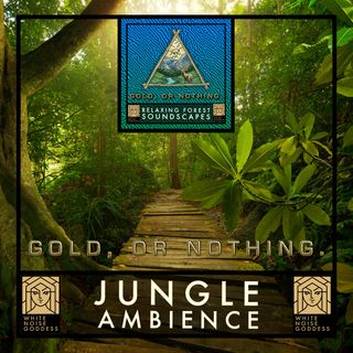 Jungle Soundscape | 1 Hour Forest Ambience | White Noise | Relax | Meditate | Sleep Instantly