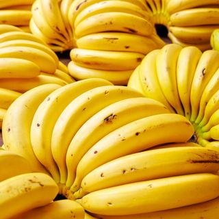 22.09.21 - Dia da banana: tudo sobre a fruta, gírias brasileiras e se os pets também podem comer (part. Carla Maion)