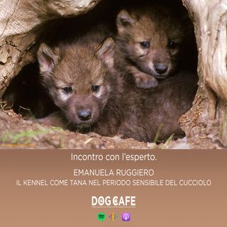 #079 - INCONTRO CON L’ESPERTO Emanuela Euggiero - Il kennel come tana nel periodo sensibile del cucciolo