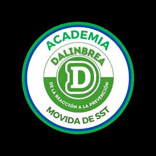 ACADEMIA DE LA MOVIDA DE SST