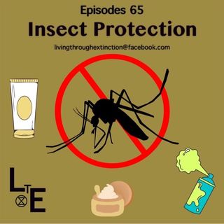 65 Summer Protections Part 2; protection from insects