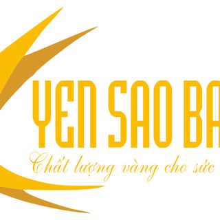 Yến Sào Bảo Vy