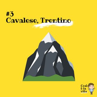 03 - Cavalese, Trentino