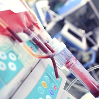 Bocciata la richiesta della famiglia No Vax, ok al sangue del Centro Trasfusionale