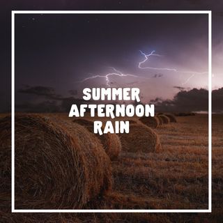 Summer Afternoon Rain | 1 Hour Rain Sound