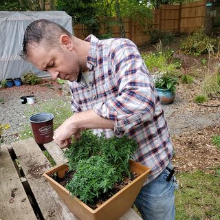 5 Pruning Tips for Beginning Gardeners - DIY Garden Minute Ep.167