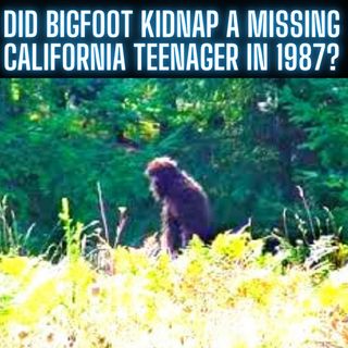 Did Bigfoot kidnap a missing California teenager in 1987?