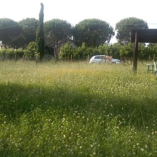 Marrone Giuseppe