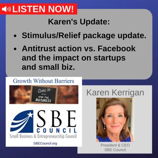 Stimulus/relief package update, how Facebook antitrust action could impact startups & small business.