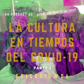 #6 El sector cultura en tiempos del covid-19