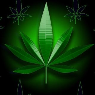 Cannabis Patients Out Of Time - 03-07-17