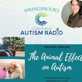 The Animal Effect On Autism