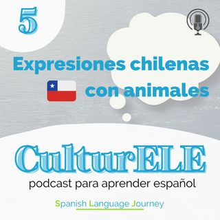 EP5 Expresiones chilenas con animales