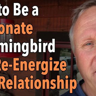 How to Be a Passionate Hummingbird and Re-Energize Your Relationship