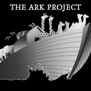 THE ARK PROJECT LLC