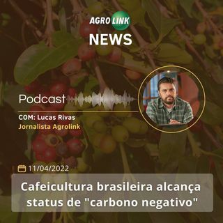 Brasil exporta 396 mil toneladas de carne de frango em março