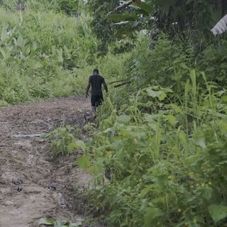 Escuche Testimonio de un venezolano por la Selva del Darien (No apto para personas sensibles)