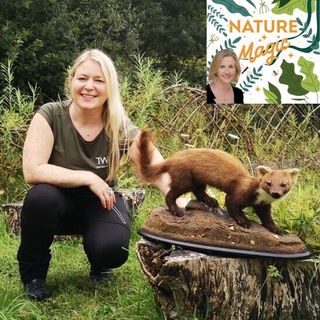 Episode 59 Ruth Hanniffy is protecting the Pine Martin