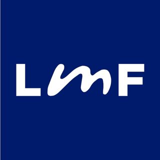 LMF Lamiafinanza