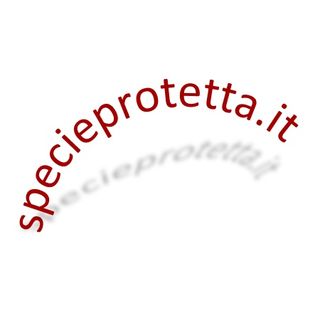 specieprotetta.it