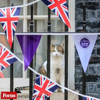 I gatti di Downing Street
