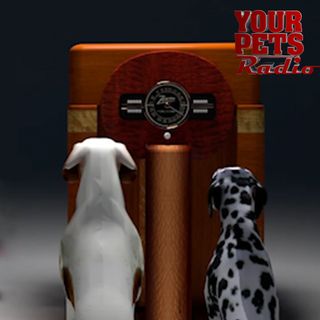 Your Pets Radio™