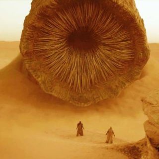 Cosa ne penso del nuovo film di Dune