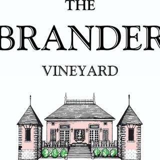 The Brander Vineyard - Fabian Bravo