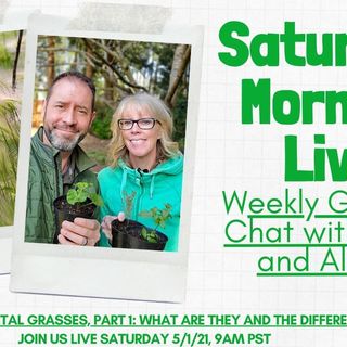Saturday 5-1-21 Morning LIVE Garden Chat - What are Ornamental Grasses