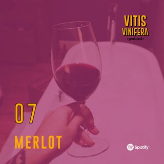 #7 Merlot