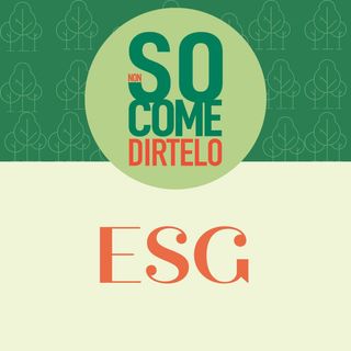 6. ESG, Environmental Social Governance