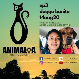 ANIMALIA 03 - Doggo Bonito - 14Aug20