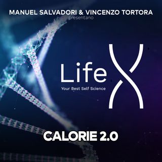 25 - LifeX - Calorie v 2