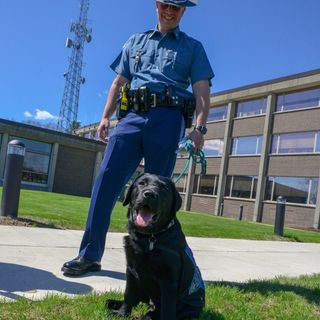 Meet Mass. State Police's Adorable New Comfort Dog