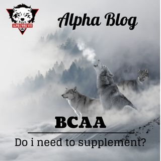 Do i need to supplement BCAAs?