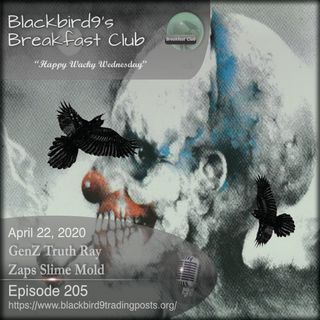 GenZ Truth Ray Zaps Slime Mold - Blackbird9 Podcast