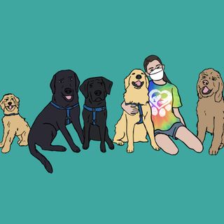 Service Dogs' Role In Our Community