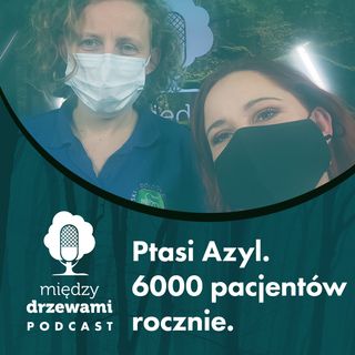 Między Drzewami #54 Ptasi Azyl. 6000 pacjentów rocznie [dr Agnieszka Czujkowska]