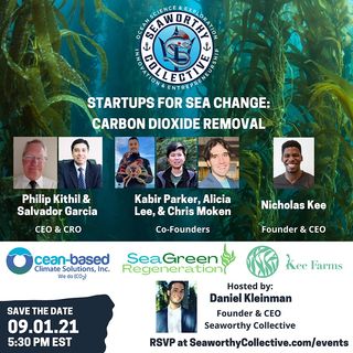 Startups for Sea Change: Carbon Dioxide Removal