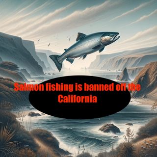 California Bans Salmon Fishing Again