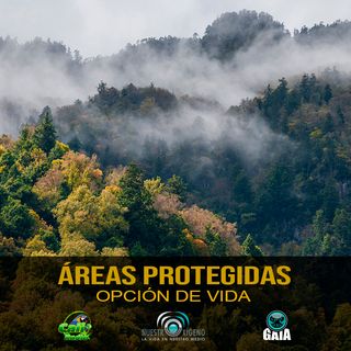 NUESTRO OXÍGENO  Áreas protegidas opción de vida - Blga Natalia Gómez