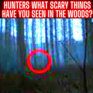 Hunters, What Scary Things Have You Seen In The Woods?