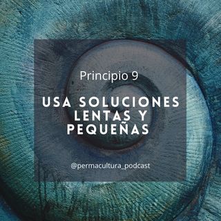 T1E14 - Principio 9 Usar soluciones lentas y pequeñas