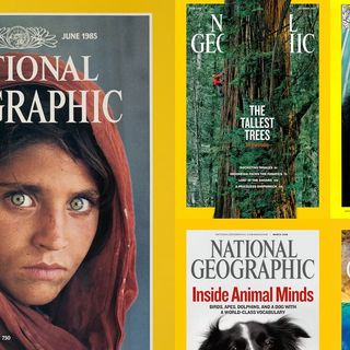 It's National Geographic Day 🗺Thursday Jan. 27th