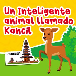 Un Inteligente animal llamado Kancil 40 I Cuentos infantiles I Fábulas