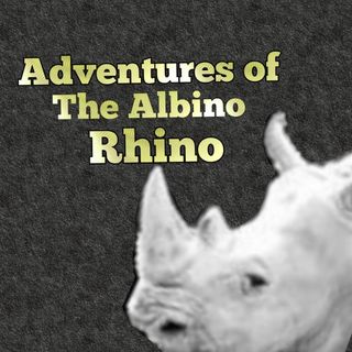 Adventures of the Albino Rhino