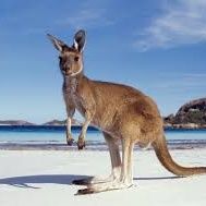 ME NE VADO IN AUSTRALIA! #8a
