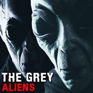 THE GREY ALIENS - Mysteries with a History