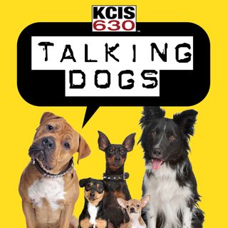 Talking Dogs on KCIS