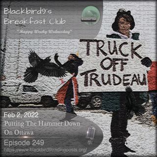Putting The Hammer Down On Ottawa - Blackbird9 Podcast
